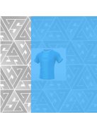 GOALSUPPORT | bázisprogram (6 modul)