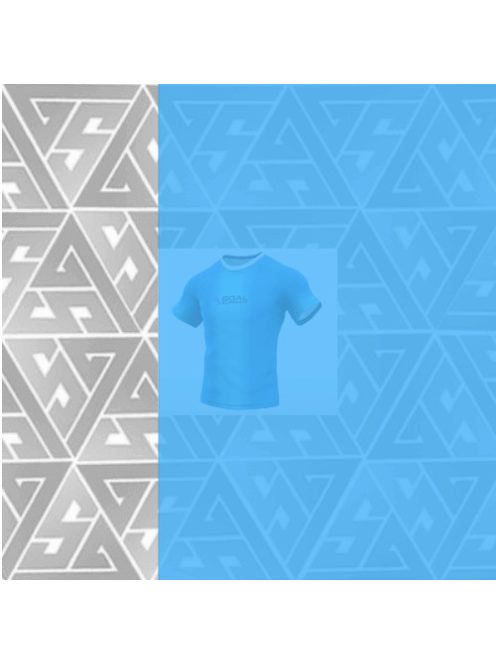 GOALSUPPORT | bázisprogram (6 modul)
